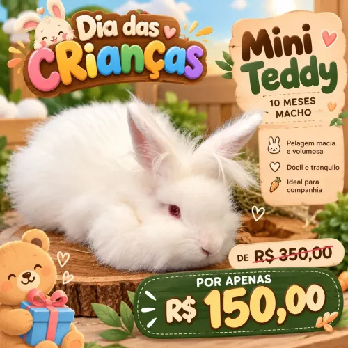 Coelhos