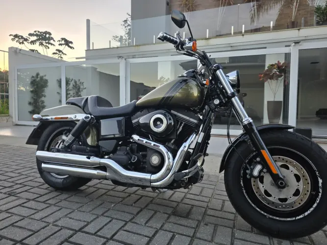 Harley fat bob