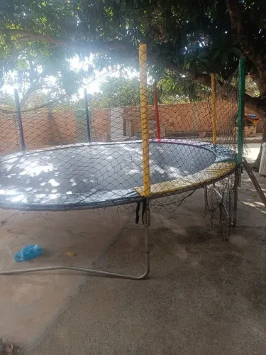 Aluguel de pula pula