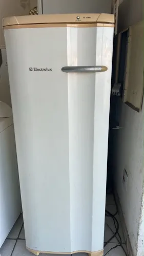 Freezer vertical