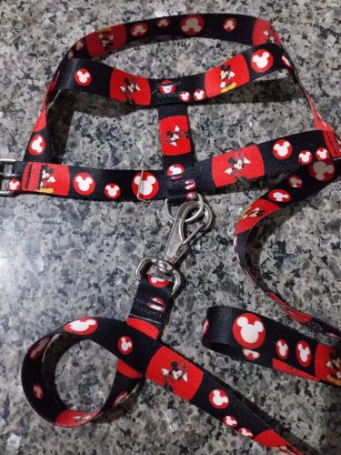 Coleira para cachorro tamanho 4