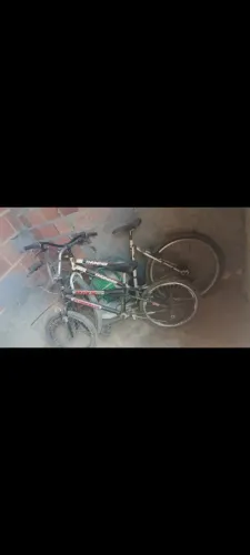Bicicleta adulto outra infantil
