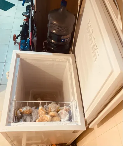 Freezer Horizontal - 222L