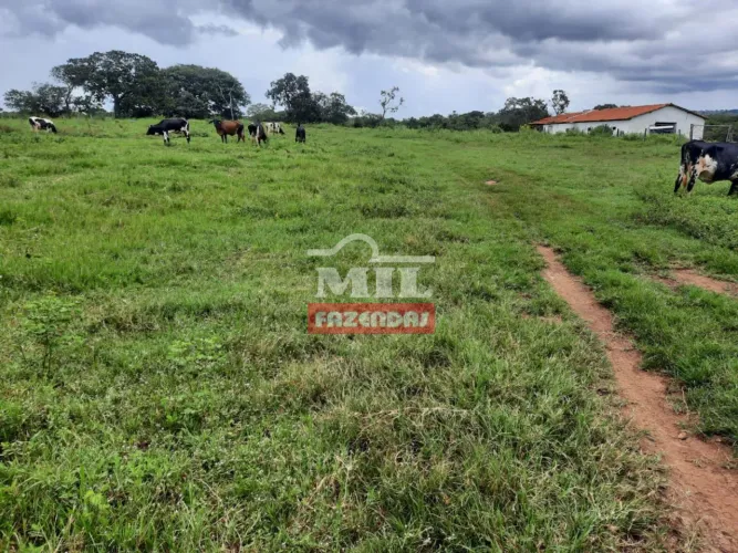 Fazenda 372 Alqueires (1.800 hectares) Formosa - GO