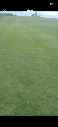 Deixe seu espaço mais verde