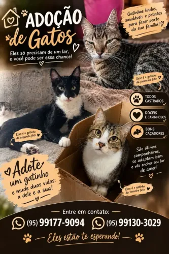 Animais doação