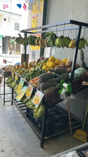 Expositor para hortifruti