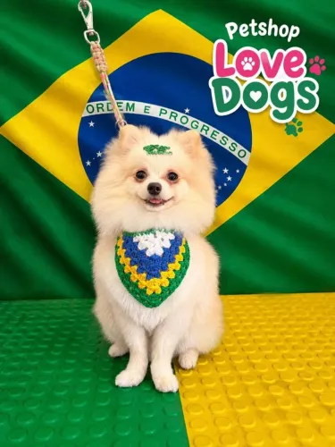 Lulu procura uma namorada 