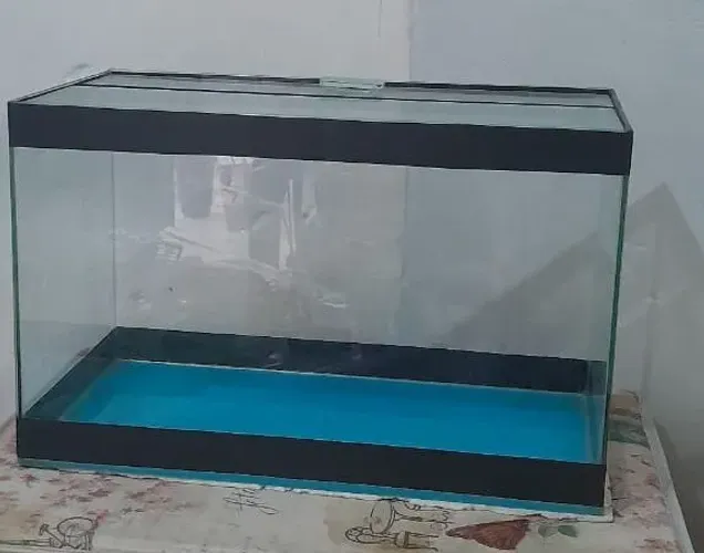 Aquário 15 litros
