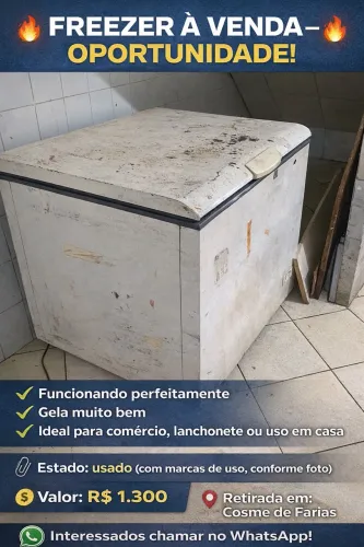 ? FREEZER À VENDA - OPORTUNIDADE! ?