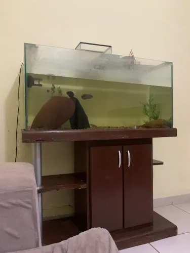 Aquario 200l