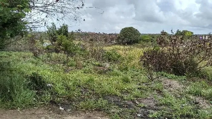 Oportunidade valiosa Terreno no Arembepe Abrantes, Camacari - BA, N. SN SITIO SANTA EFIGE