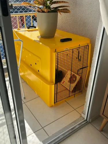 Caixa de transporte para cachorro G/GG