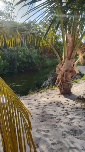 Sítio 10000m² em Punaú Rio do Fogo RN oportunidade terreno amplo