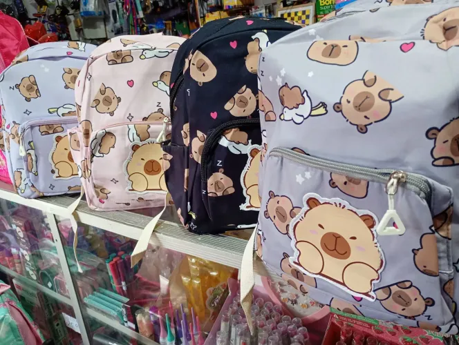 Mochila, Capivara. Fazemos entrega