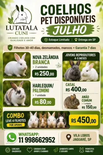 Coelho