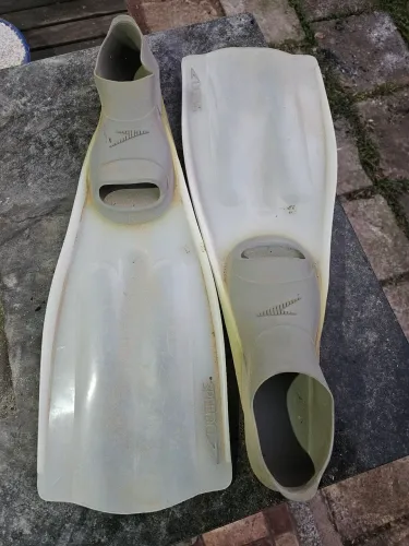 Nadadeira para mergulho speedo