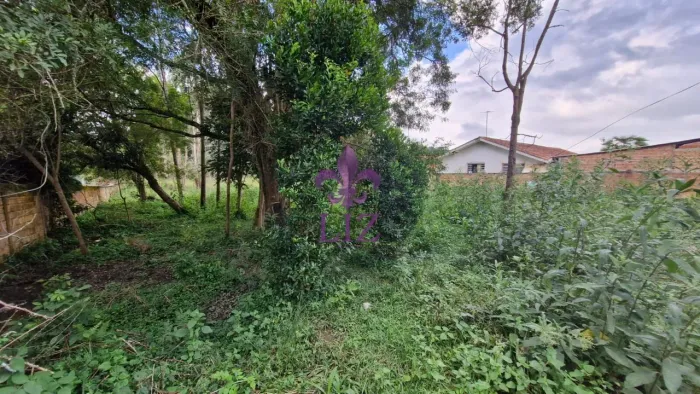 Excelente área residencial pronta para construir em Campina Grande do Sul