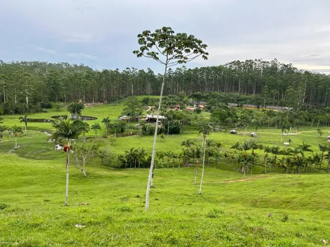 FAZENDA À VENDA EM TIJUCAS - 66 HECTARES 