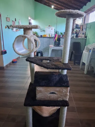 Casa de Gato mansão
