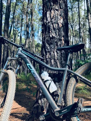 Vendo bike Oggi Float 5.0 