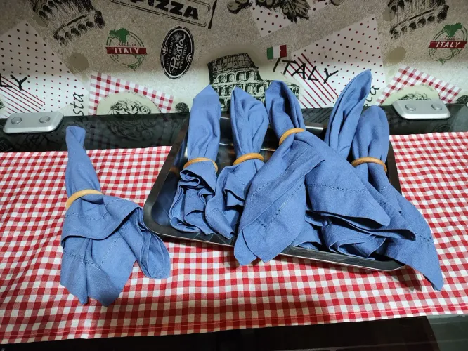 Guardanapos de tecido algodão azul 6 peças Made in India