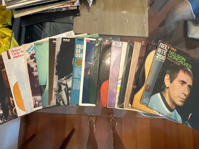 Coleção de Disco de Vinil Nelson Gonçalves -  21 discos