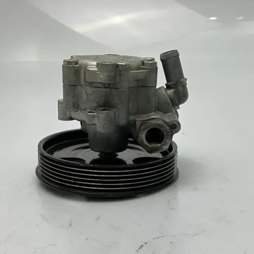 Bomba Direção Hidráulica Duster Oroch 1.6 2015/20 491328861R