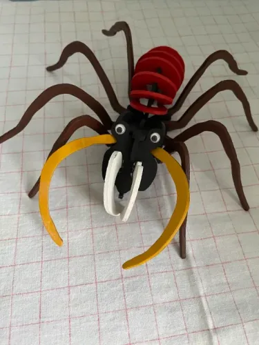 Aranha de Madeira