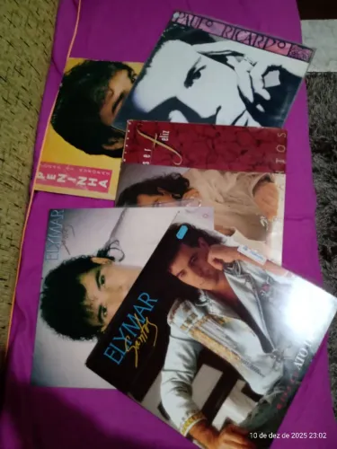Discos de vinil 