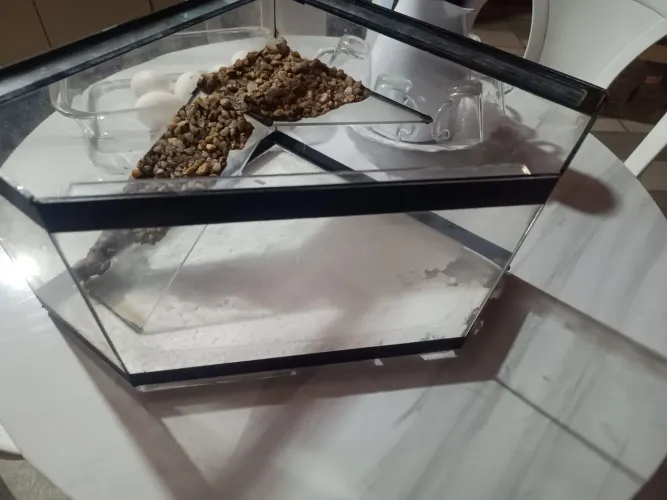 Aquaterrario 7 litros