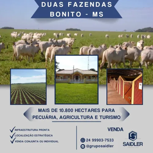 Fazendas em Bonito MS 