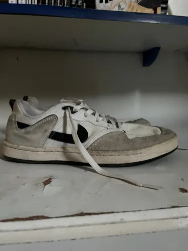 Tênis Nike Sb Alleyoop