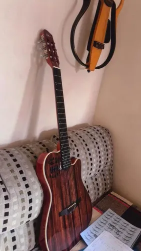 Violão casa (estilo Godin com captação individual )