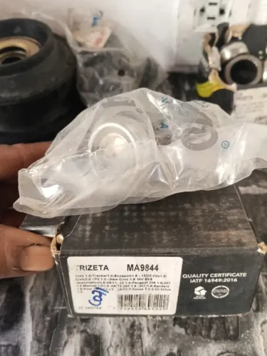 Trizeta 22 dentes