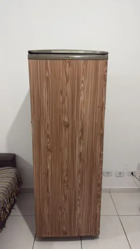 Vendo essa geladeira, funcionando perfeitamente V220