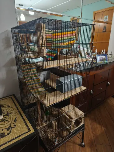 Gaiola grande para chinchila ou aves