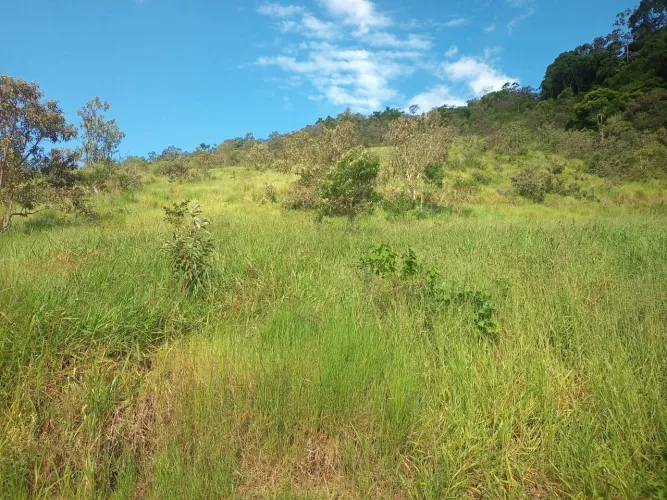Sítio Santa Leopoldina boqueirão do satilio 24500
