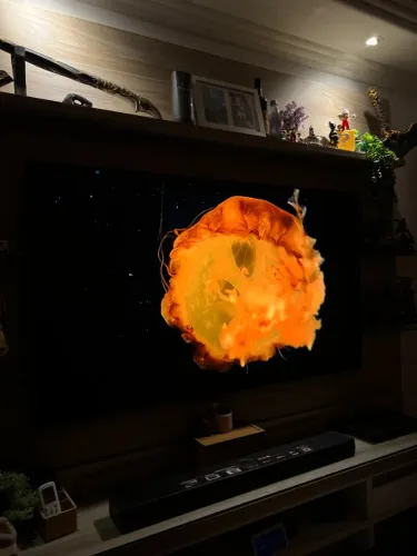 TV LG OLED B5 65 Polegadas Seminova