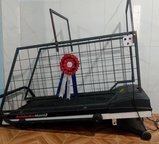 Esteira para seu pet... Dog Pit rotwaller buldogue