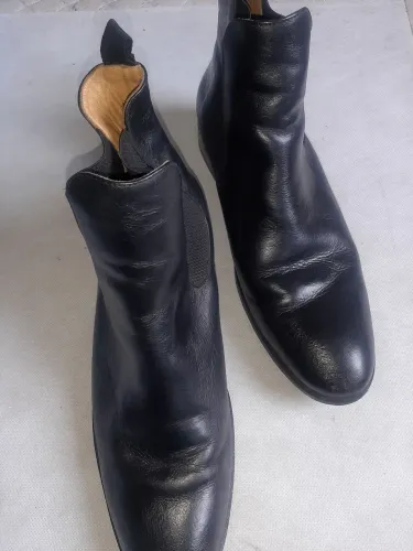 Bota