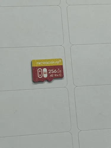 Micro SD 256GB