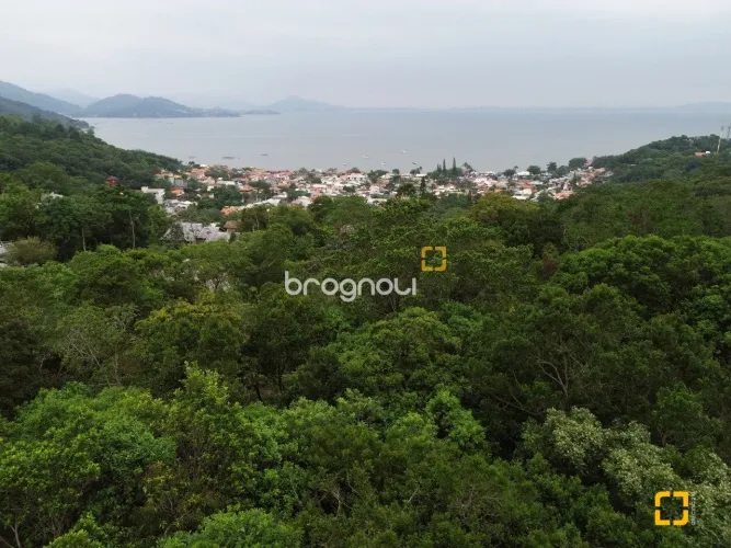 Brognoli Vende - Terreno Com 14.106,35 m² Em Sambaqui
