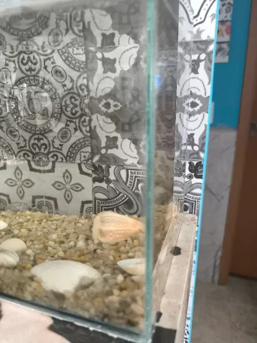 Aquário 9 litros