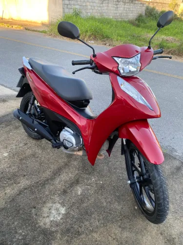Bis ex 