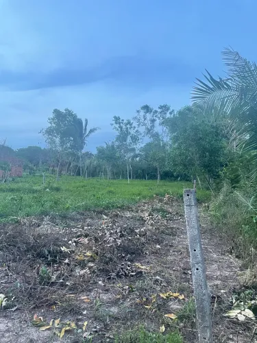 Vendo terreno