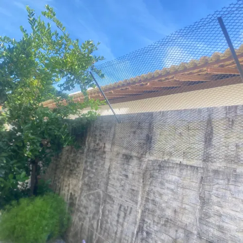 Proteção de rede para gatos?