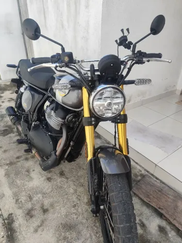 Bear 650 