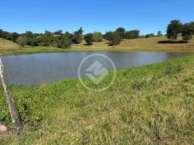 Fazenda à venda em Professor Jamil/GO com 21 alqueires codigo: 341133