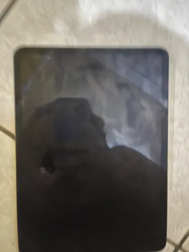 IPAD PRO 11.9 pol 256GB